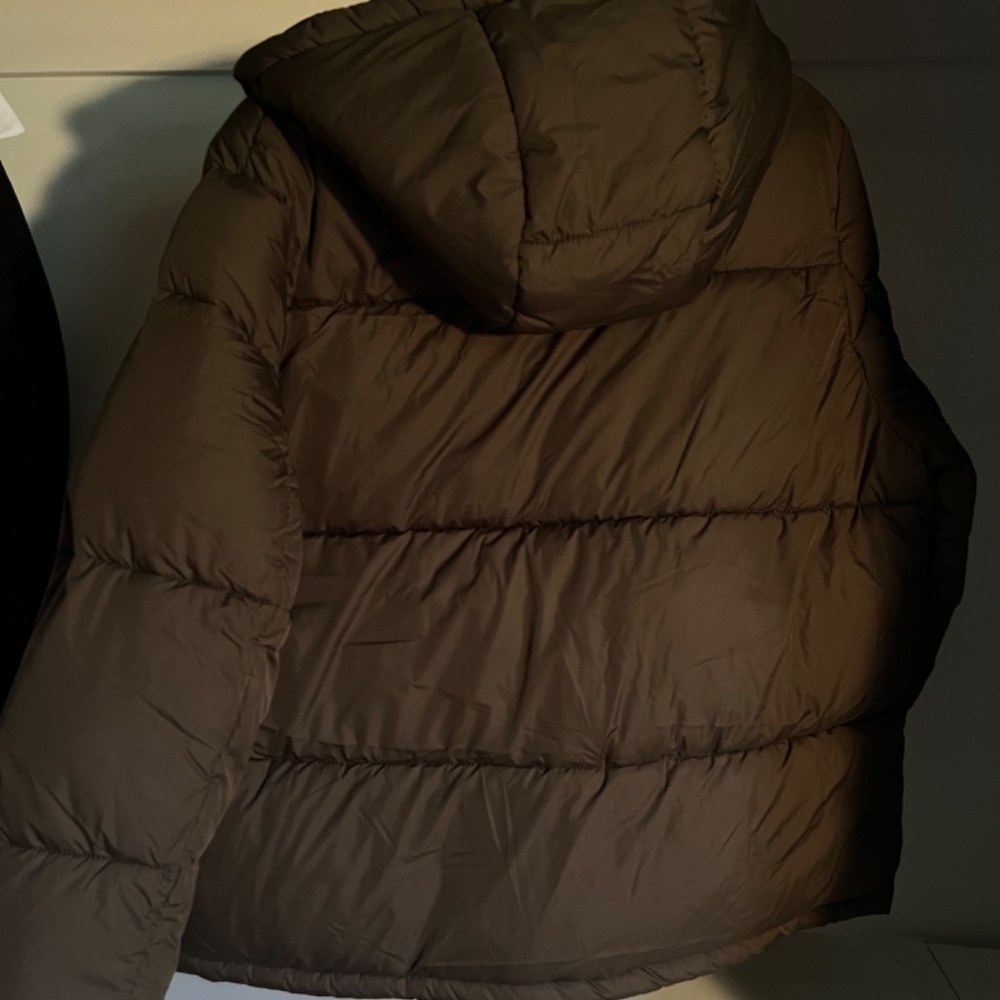 Green Puffer - image 4